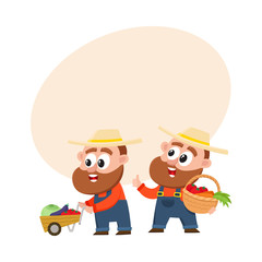 Funny farmer characters in overalls harvesting vegetables, one pushing handcart, another holding basket, cartoon vector illustration with space for text. Couple of comic farmer characters