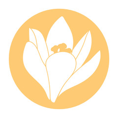 Spring flower icon. White crocus flower. Crocus, Saffron, herbs. Orange round circle flat icon. Vector illustration