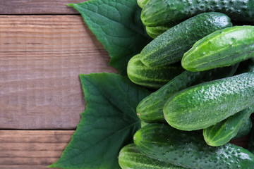 Cucumbers with leaves on a old wooden table with copy space. Cucumbers on a wooden background