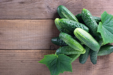 Cucumbers with leaves on a old wooden table with copy space. Cucumbers on a wooden background