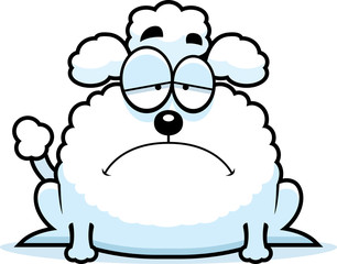 Sad Little Poodle