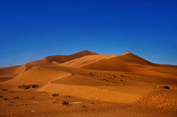Fototapeta na wymiar Die größte rote Sanddüne von Sossusvlei mit Personen auf dem Gipfel
