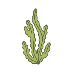 Alga marine green vector illustration