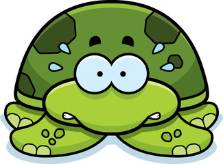 Nervous Little Sea Turtle