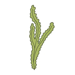 Alga green vector illustration