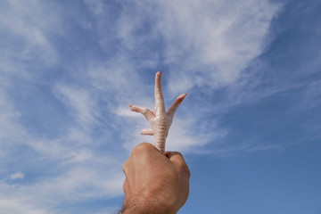 Closed fist and chicken foot with sky background, fingers pointing to the sky, unusual crucifix
