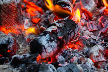 Wood burning in red fire closeup