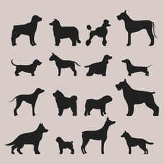 Funny cartoon dog character bread black silhouette in cartoon style vector illustration.