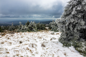Landschaft mit Schnee auf dem Brocken im Harz