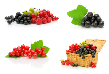 Ripe berries isolated on white background.