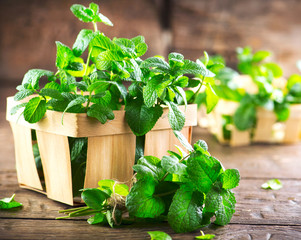 Mint. Bunch of fresh green organic mint leaf on wooden table closeup © Subbotina Anna