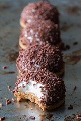 marshmallow chocolate biscuit