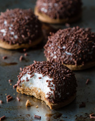 marshmallow chocolate biscuit