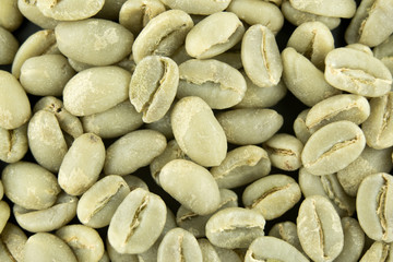 Green coffee bean. Macro photo.