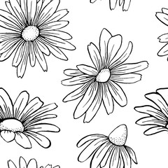Vector vintage graphic camomile seamless pattern