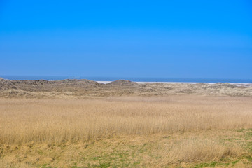 Fototapeta na wymiar Dünenlandschaft am Meer