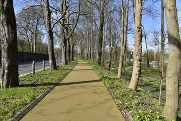 Piste cyclable toute neuve entre une route importante et un chemin de terre au bois de Laeken au nord de Bruxelles Capitale
