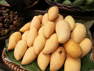 Dozen of ripe sweet mango in the basket in Asian supermarket with blur background, A pile of fresh  sweet yellow mango in Thai market, Local topical fruit in Thailand