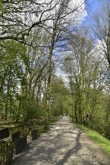 La Promenade Verte à côté d'un des endroits pour  besoins des chiens au Bois de Woluwe au sud de Bruxelles Capitale Région