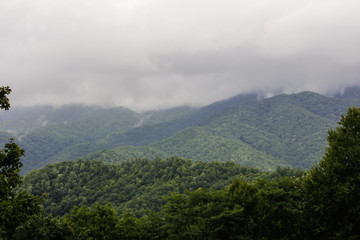 Fototapeta na wymiar Smoky Mountains in fall
