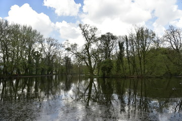 L'étang du Parc des Sources en pleine nature sauvage sous un ciel sombre à Woluwe-St-Pierre