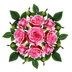 Ordered bouquet of pink rose flowers and buds