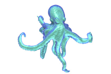Octopus isolated on white background, 3D illustration