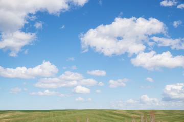 Blue sky over green grass