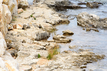 Sea shore of the Adriatic  Sea in Croatia, Europe