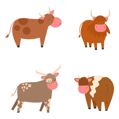 Bulls cows farm animal character vector illustration cattle mammal nature wild beef agriculture.