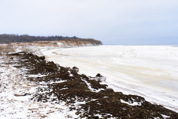 Coast of the Baltic Sea