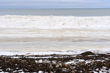 Coast of the Baltic Sea