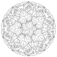 Black and white floral pattern for coloring book in doodle style. Vector elements for design. Good for art therapy, zentangle-style meditation and design of wrapping and textile.