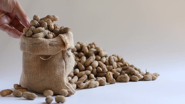 Hand of woman is using a large measuring spoon scoop filling peanuts into hemp sack bag on the white 

background
