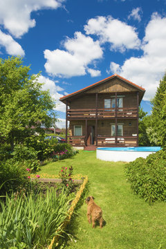 House, Pool And Red Dog On A Green Lawn