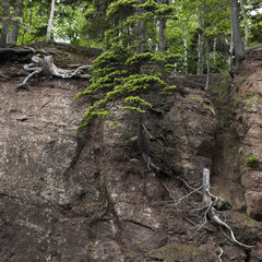 Rock formation, Bay of Fundy, New Brunswick, Canada
