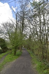 Chemins en terre dans le bois au parc des Sources à Woluwe-St-Pierre