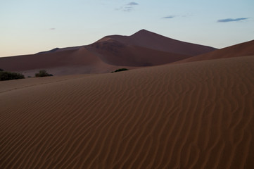 Fototapeta na wymiar Big Daddy Dune at Dawn, Desert Landscape, Sossusvlei, Namibia
