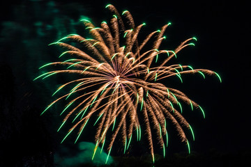 Firework fireworks celebration gold with green peaks
