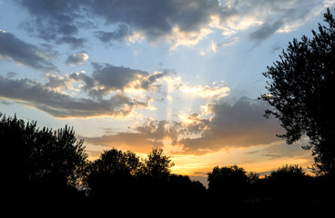 Anochecer en el campo