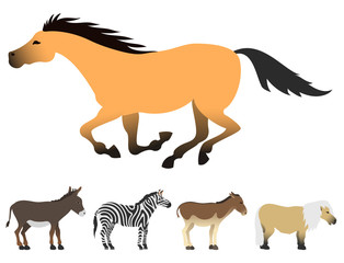 Horse pony stallion isolated different breeds color farm equestrian animal characters vector illustration.
