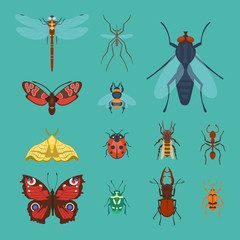 Colorful insects icons isolated wildlife wing detail summer bugs wild vector illustration