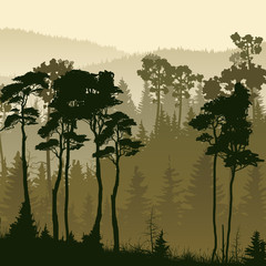 Fototapeta premium Square illustration of misty forest hills.