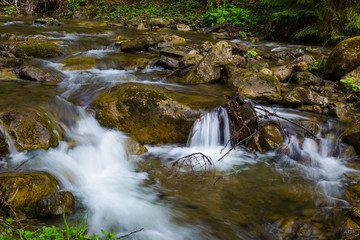 Fast mountain river , spring in Carpathians, Ukraine