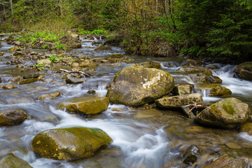 Naklejka na ściany i meble Fast mountain river , spring in Carpathians, Ukraine