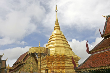 Fototapeta premium 139091.JPG