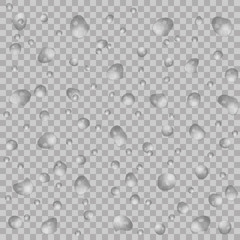 Realistic water drops on transparent background. Vector illustration. Clean drop condensation can be used with any background. For banner, flyer, invitation.