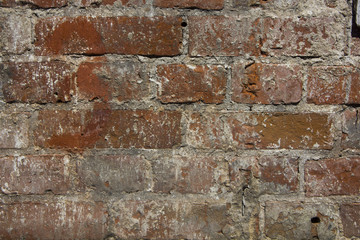 Old brick wall background. Grunge texture.