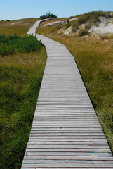 Fototapeta premium Plank road through the dunes, coast of Ruegen, Germany.