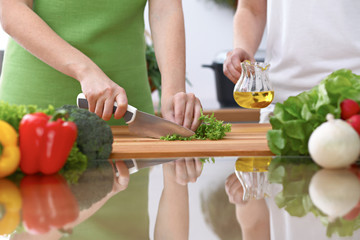 Closeup of two women are cooking in a kitchen. Friends having fun while preparing fresh salad